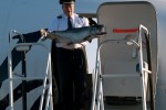 Alaska Airlines captain carrying a fish. (Photo by Tad Carlson)