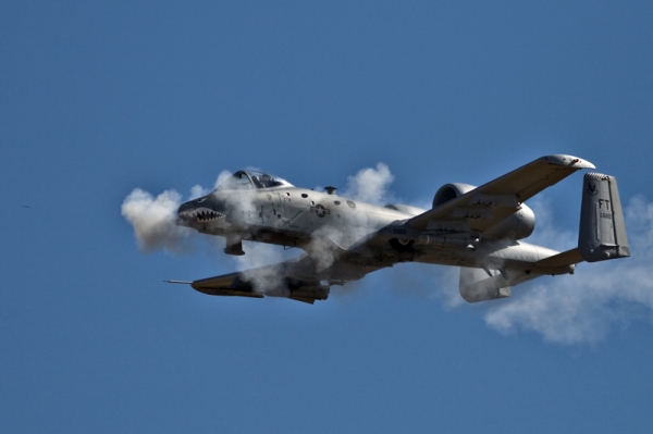 Hawg Smoke