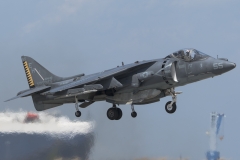 Harrier