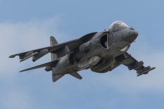 Harrier