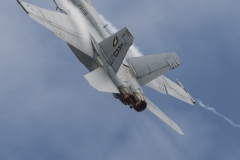 F/A-18F