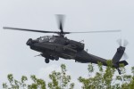 d3g_9884