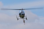 Interrex Adventures Inc. Bell 47D-1 N202CH (cn 301)