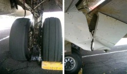 Cows vs planes are messy