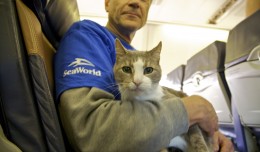 O hai. Hurricanes suck. (Photo by Southwest Airlines)