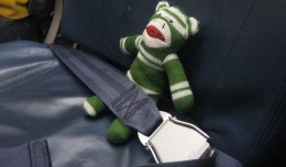 Sock monkeys will still be permitted, so long as they are not used for cruel experiments. (Photo by TheKarenD via Flickr)